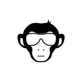 urban monkey